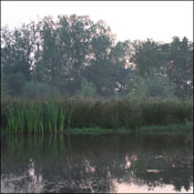 poel